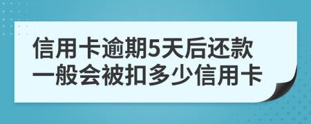 信用卡逾期5天后还款一般会被扣多少信用卡