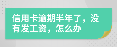 信用卡逾期半年了，没有发工资，怎么办