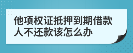 他项权证抵押到期借款人不还款该怎么办
