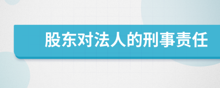 股东对法人的刑事责任