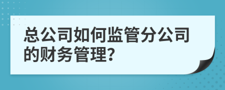 总公司如何监管分公司的财务管理？