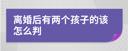 离婚后有两个孩子的该怎么判