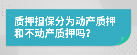 质押担保分为动产质押和不动产质押吗？