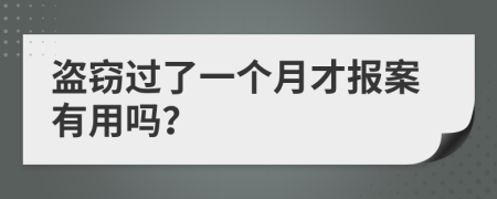 盗窃过了一个月才报案有用吗？