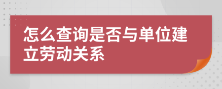 怎么查询是否与单位建立劳动关系