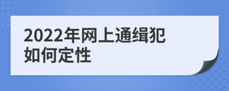 2022年网上通缉犯如何定性