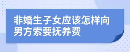 非婚生子女应该怎样向男方索要抚养费