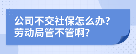 公司不交社保怎么办？劳动局管不管啊？