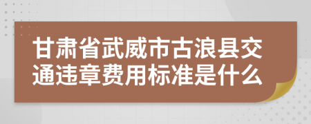 甘肃省武威市古浪县交通违章费用标准是什么