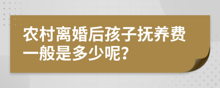 农村离婚后孩子抚养费一般是多少呢？