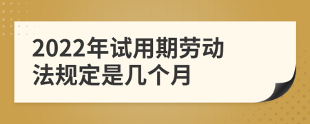 2022年试用期劳动法规定是几个月