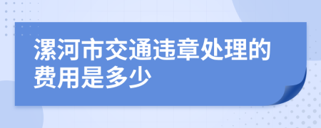 漯河市交通违章处理的费用是多少