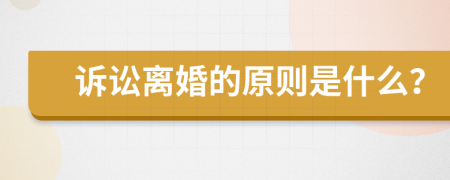 诉讼离婚的原则是什么？