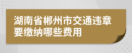 湖南省郴州市交通违章要缴纳哪些费用