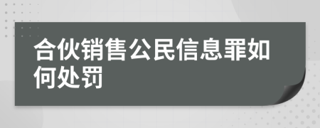 合伙销售公民信息罪如何处罚