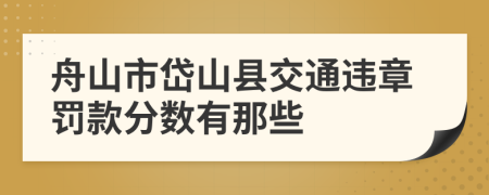 舟山市岱山县交通违章罚款分数有那些