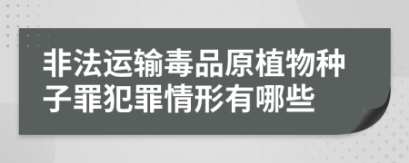 非法运输毒品原植物种子罪犯罪情形有哪些