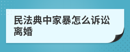 民法典中家暴怎么诉讼离婚