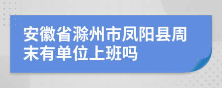 安徽省滁州市凤阳县周末有单位上班吗