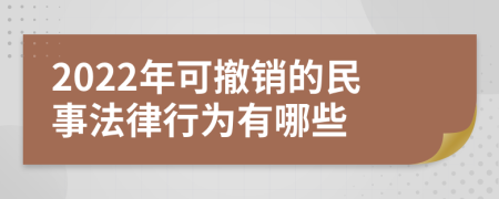 2022年可撤销的民事法律行为有哪些