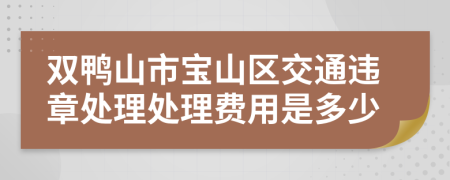 双鸭山市宝山区交通违章处理处理费用是多少