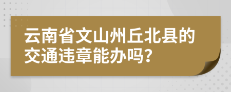 云南省文山州丘北县的交通违章能办吗？