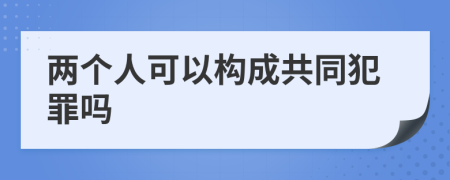 两个人可以构成共同犯罪吗