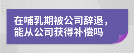 在哺乳期被公司辞退，能从公司获得补偿吗