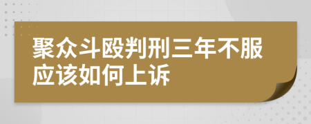 聚众斗殴判刑三年不服应该如何上诉