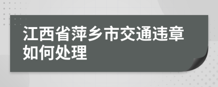 江西省萍乡市交通违章如何处理