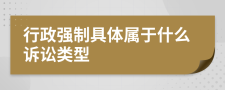 行政强制具体属于什么诉讼类型