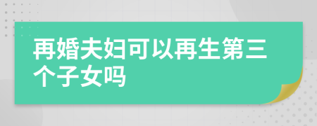 再婚夫妇可以再生第三个子女吗