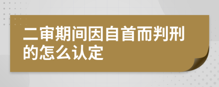 二审期间因自首而判刑的怎么认定