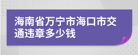 海南省万宁市海口市交通违章多少钱