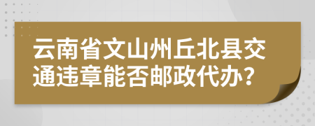 云南省文山州丘北县交通违章能否邮政代办？