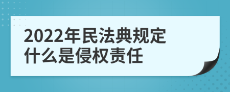 2022年民法典规定什么是侵权责任