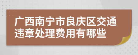 广西南宁市良庆区交通违章处理费用有哪些