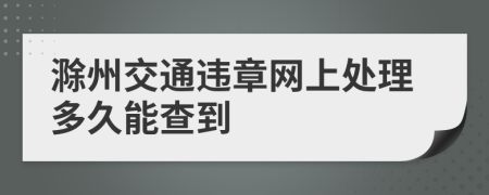 滁州交通违章网上处理多久能查到