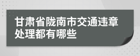 甘肃省陇南市交通违章处理都有哪些