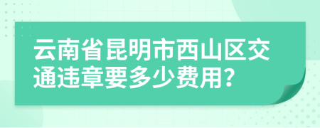 云南省昆明市西山区交通违章要多少费用？