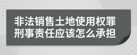 非法销售土地使用权罪刑事责任应该怎么承担