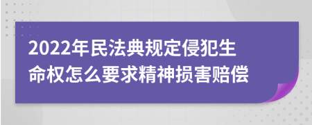 2022年民法典规定侵犯生命权怎么要求精神损害赔偿