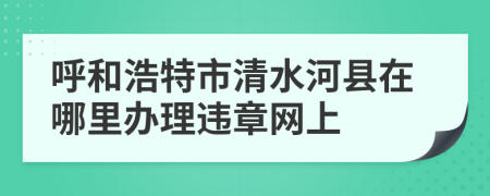 呼和浩特市清水河县在哪里办理违章网上