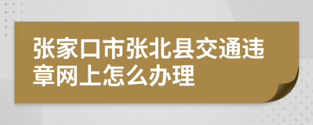 张家口市张北县交通违章网上怎么办理