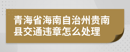 青海省海南自治州贵南县交通违章怎么处理