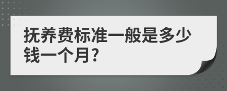 抚养费标准一般是多少钱一个月?