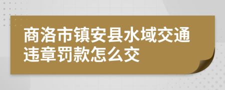 商洛市镇安县水域交通违章罚款怎么交