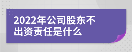 2022年公司股东不出资责任是什么