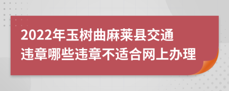 2022年玉树曲麻莱县交通违章哪些违章不适合网上办理