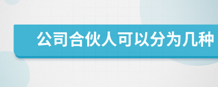 公司合伙人可以分为几种